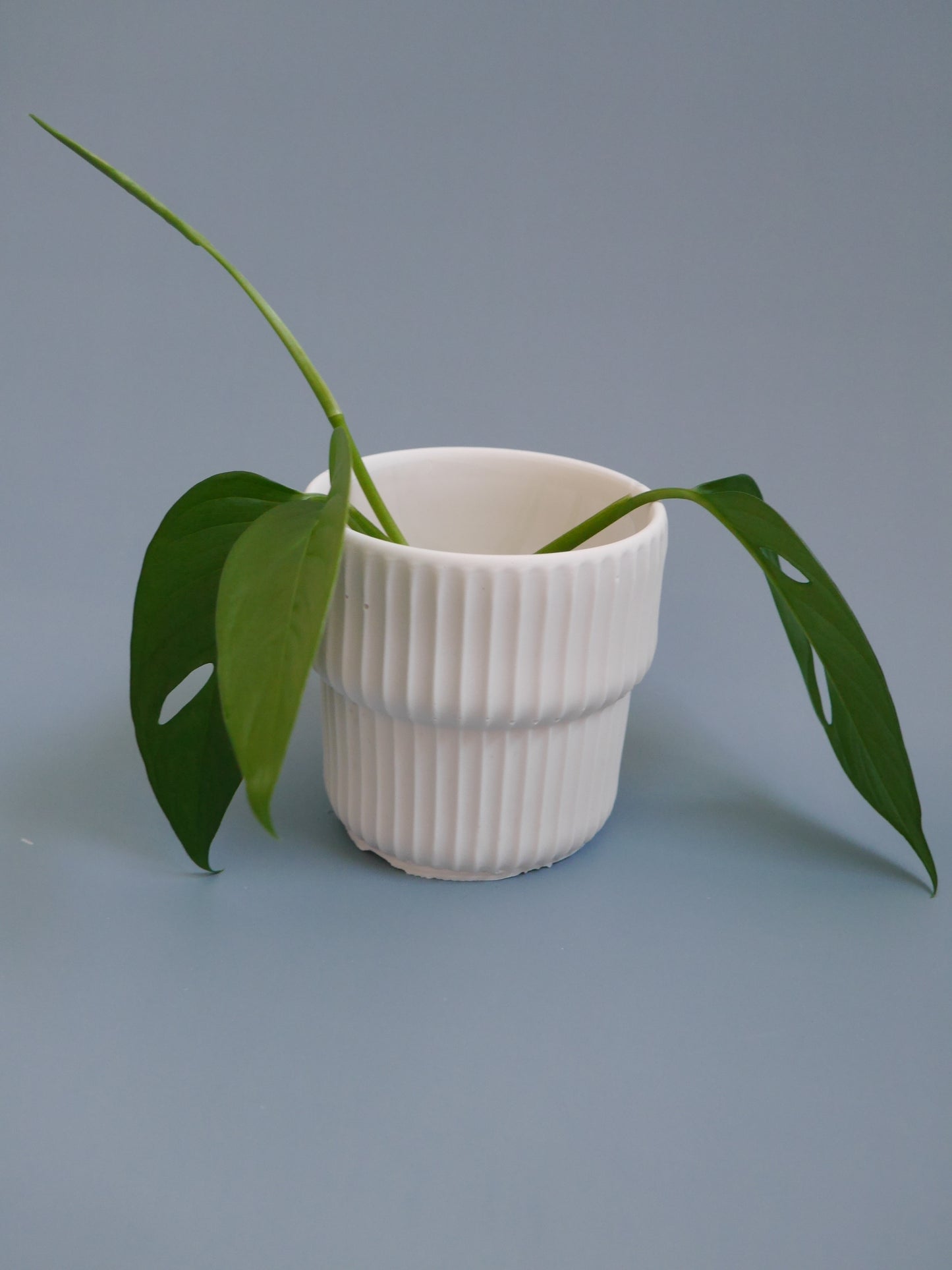 2wayプラントポット ミニ しのぎ模様