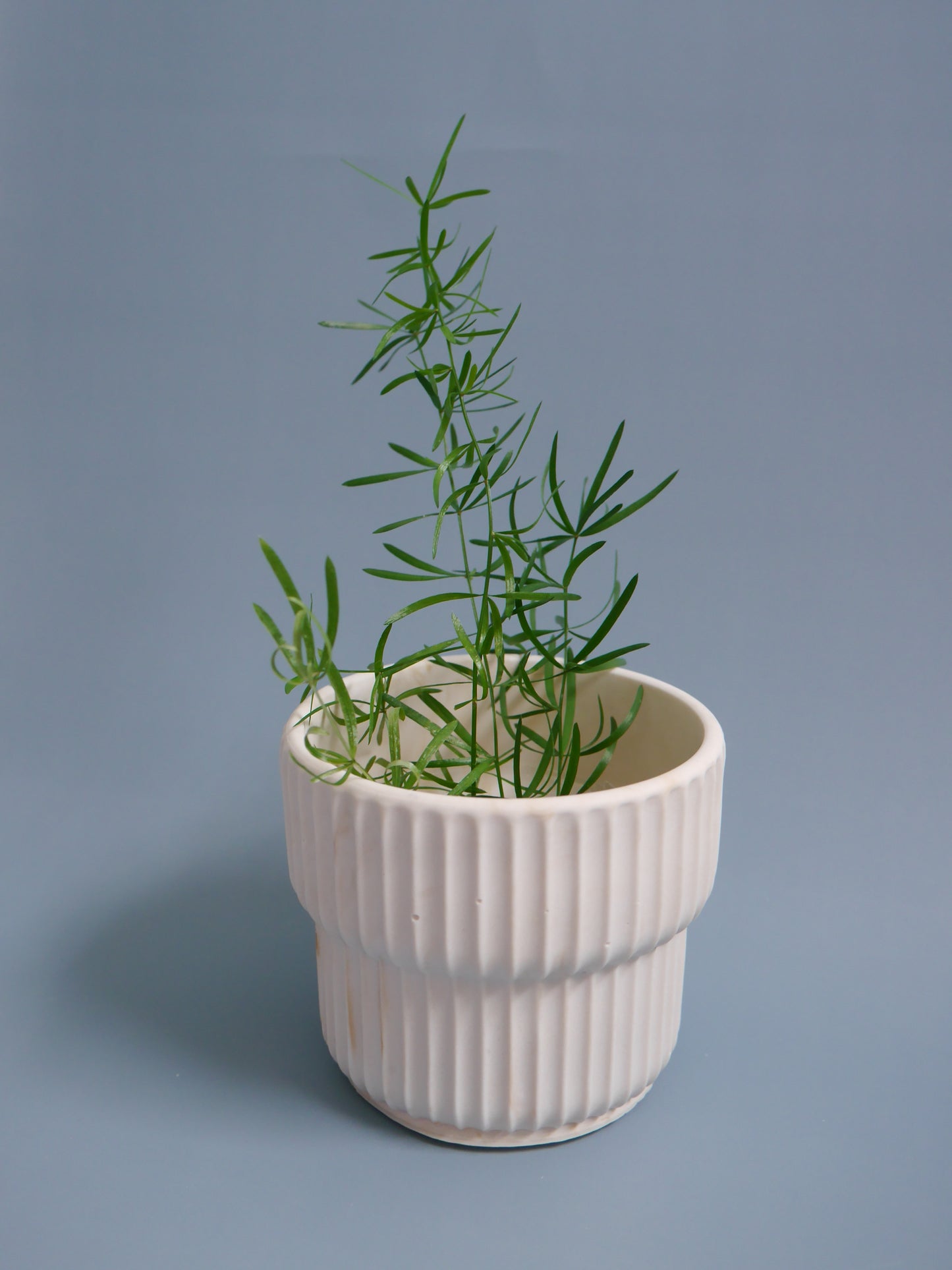 2wayプラントポット中サイズ しのぎ模様