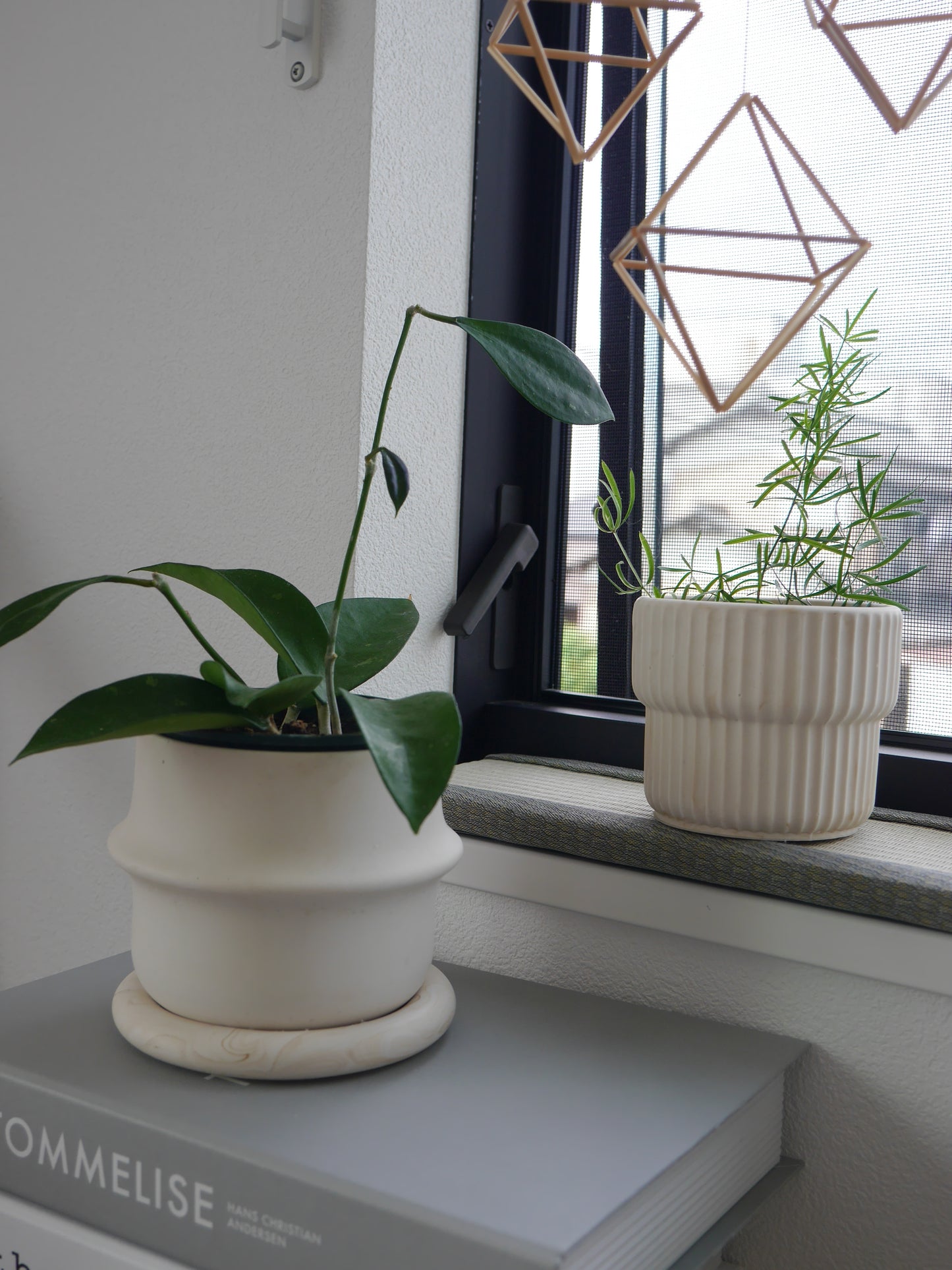 2wayプラントポット 大 シンプルリングデザイン