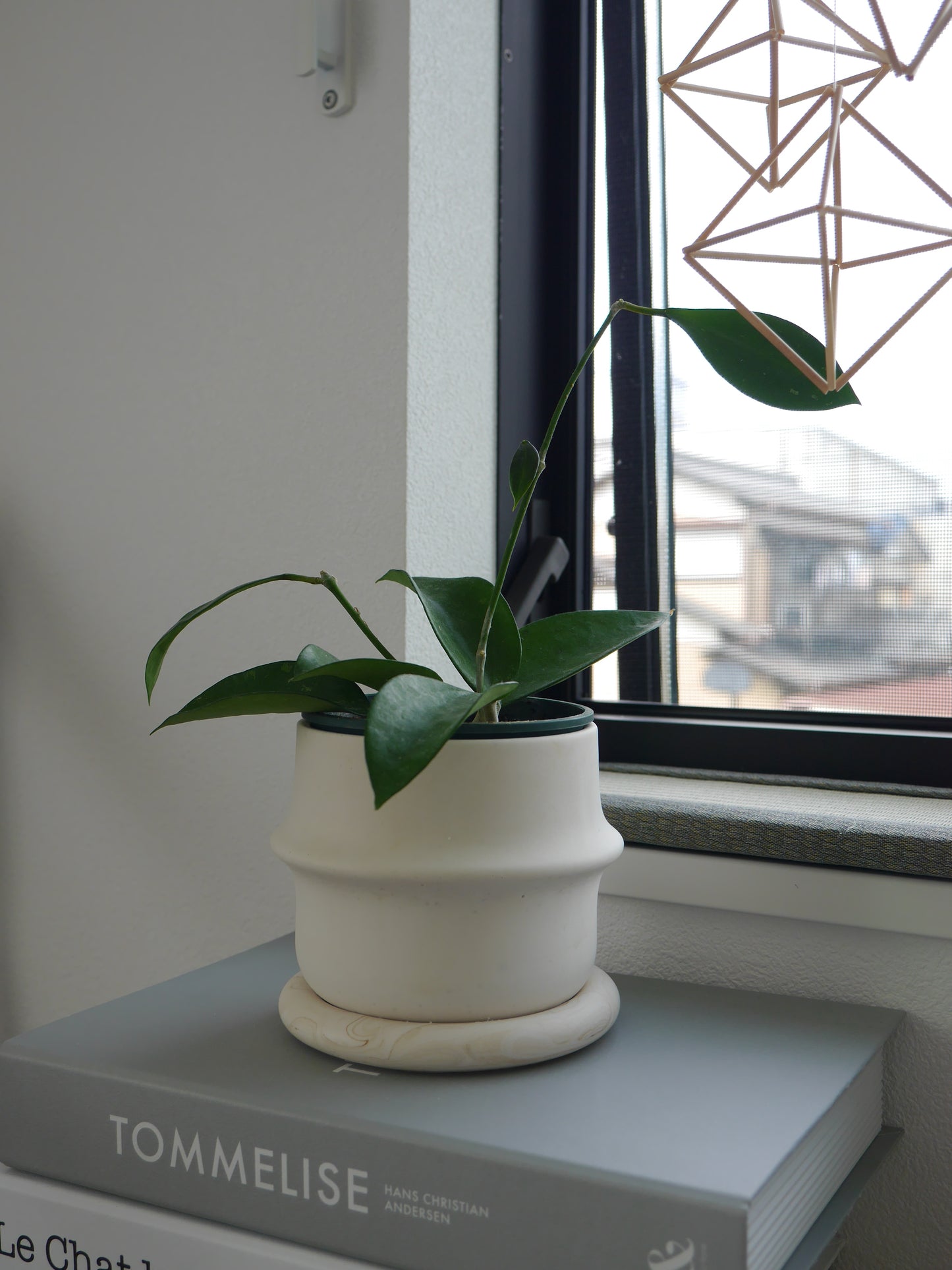 2wayプラントポット 大 シンプルリングデザイン