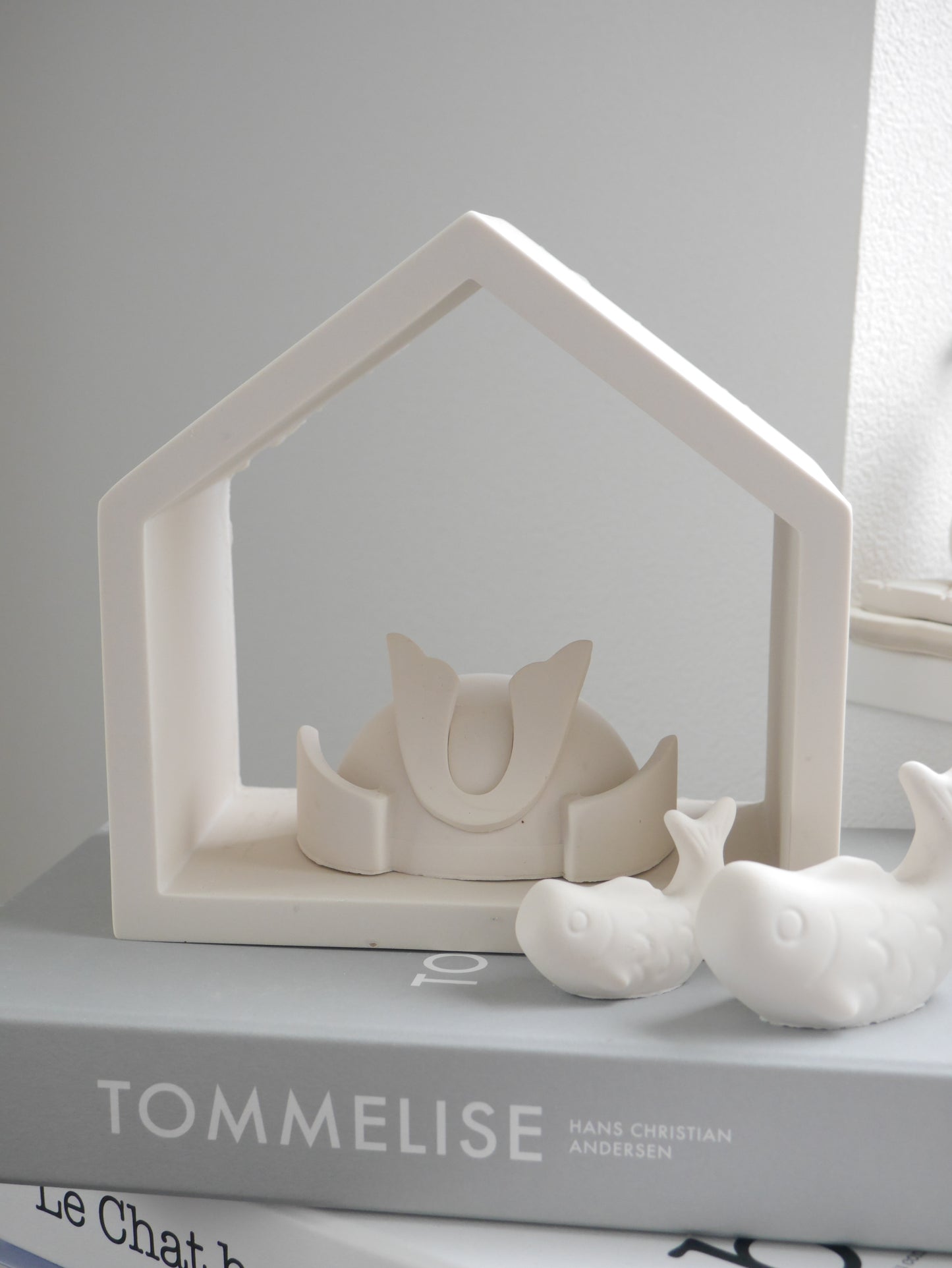 House Display Shelf Mold