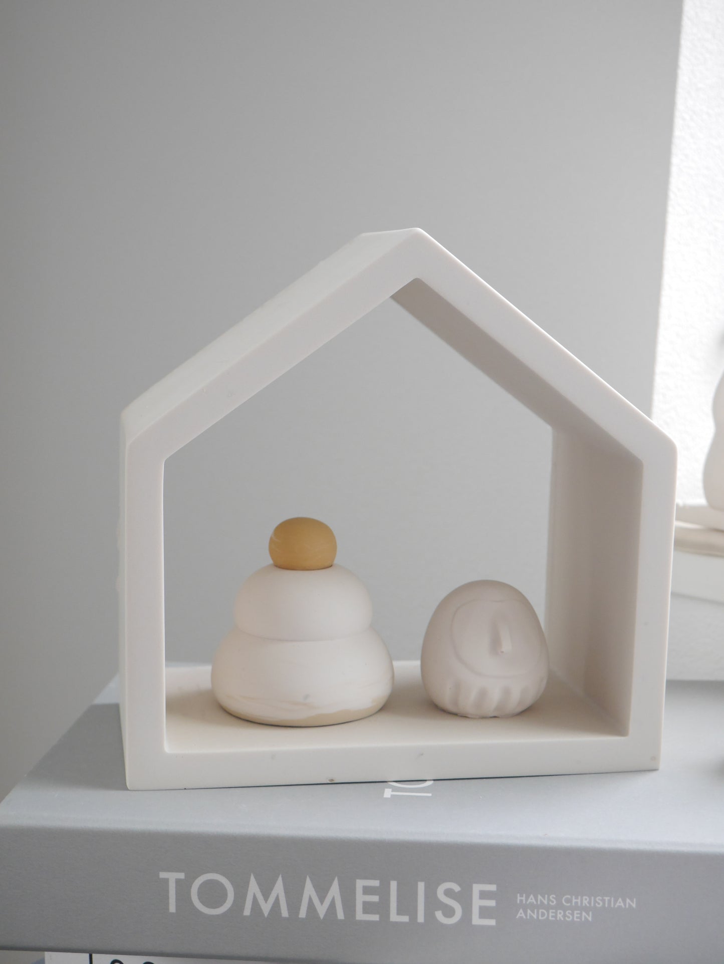House Display Shelf Mold