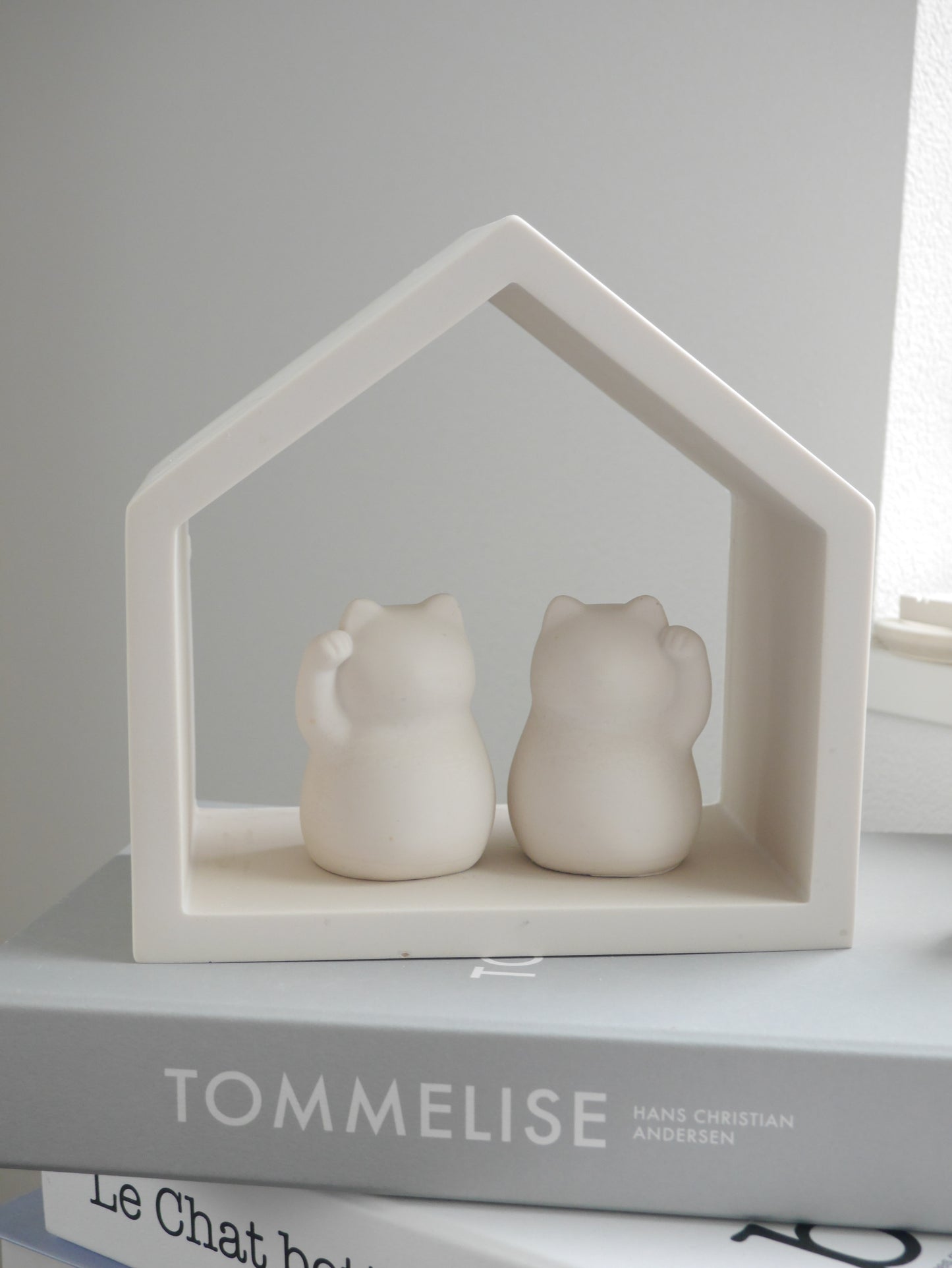 House Display Shelf Mold