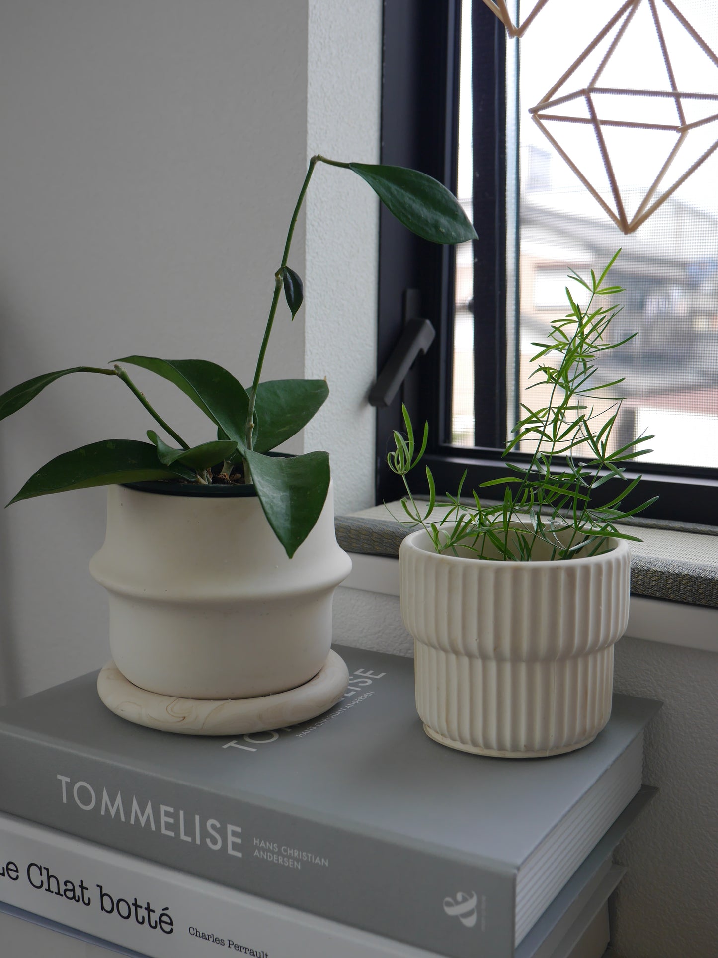 2wayプラントポット 大 シンプルリングデザイン