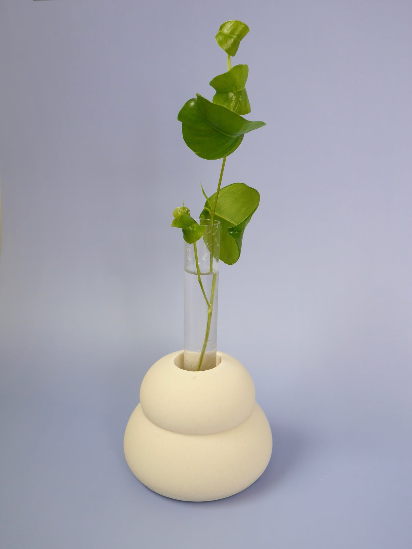 鏡餅モールド Lサイズ (橙セット)