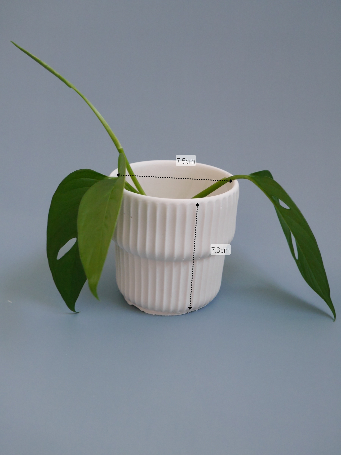 2wayプラントポット　ミニ　しのぎ模様