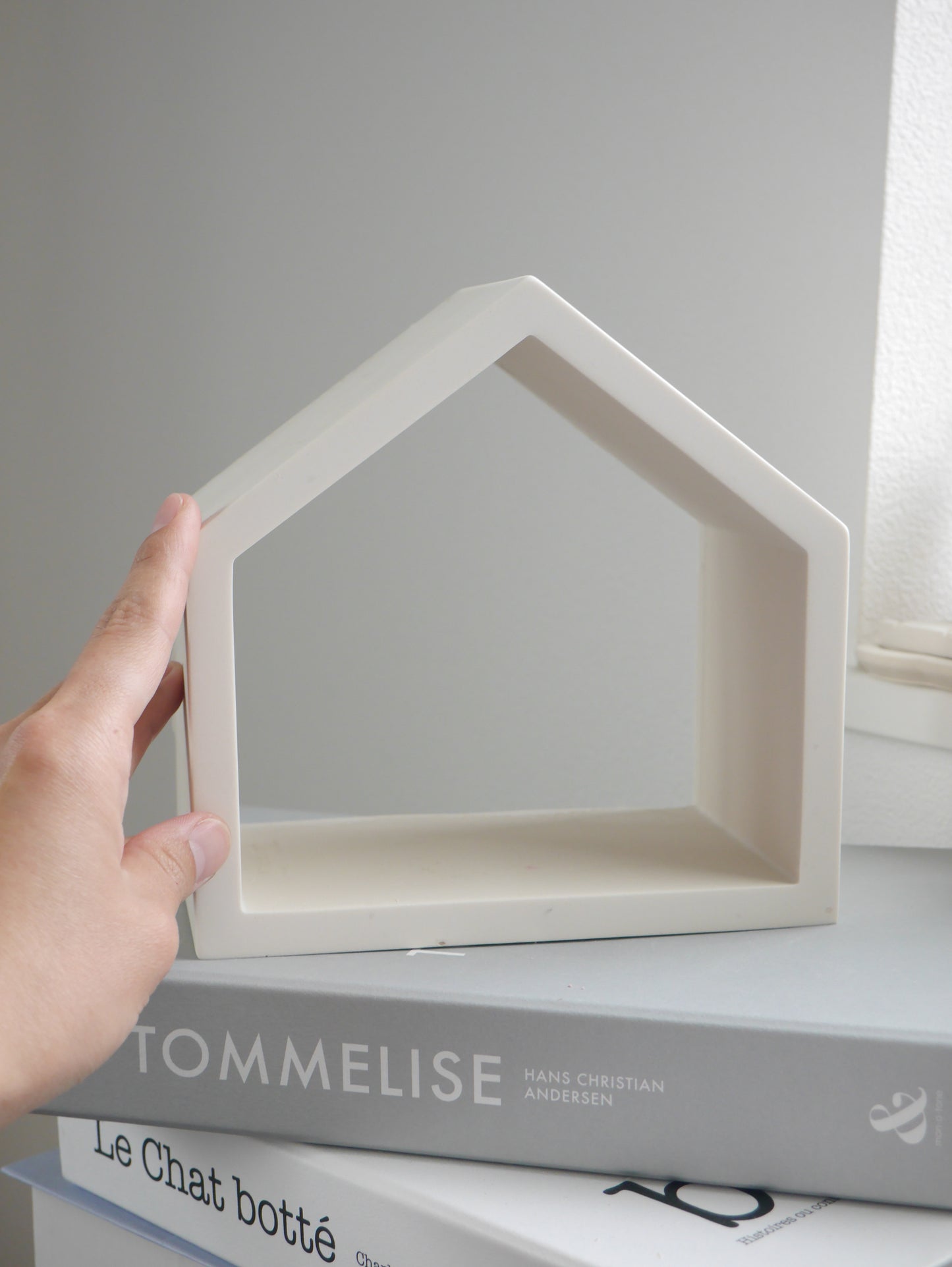 House Display Shelf Mold