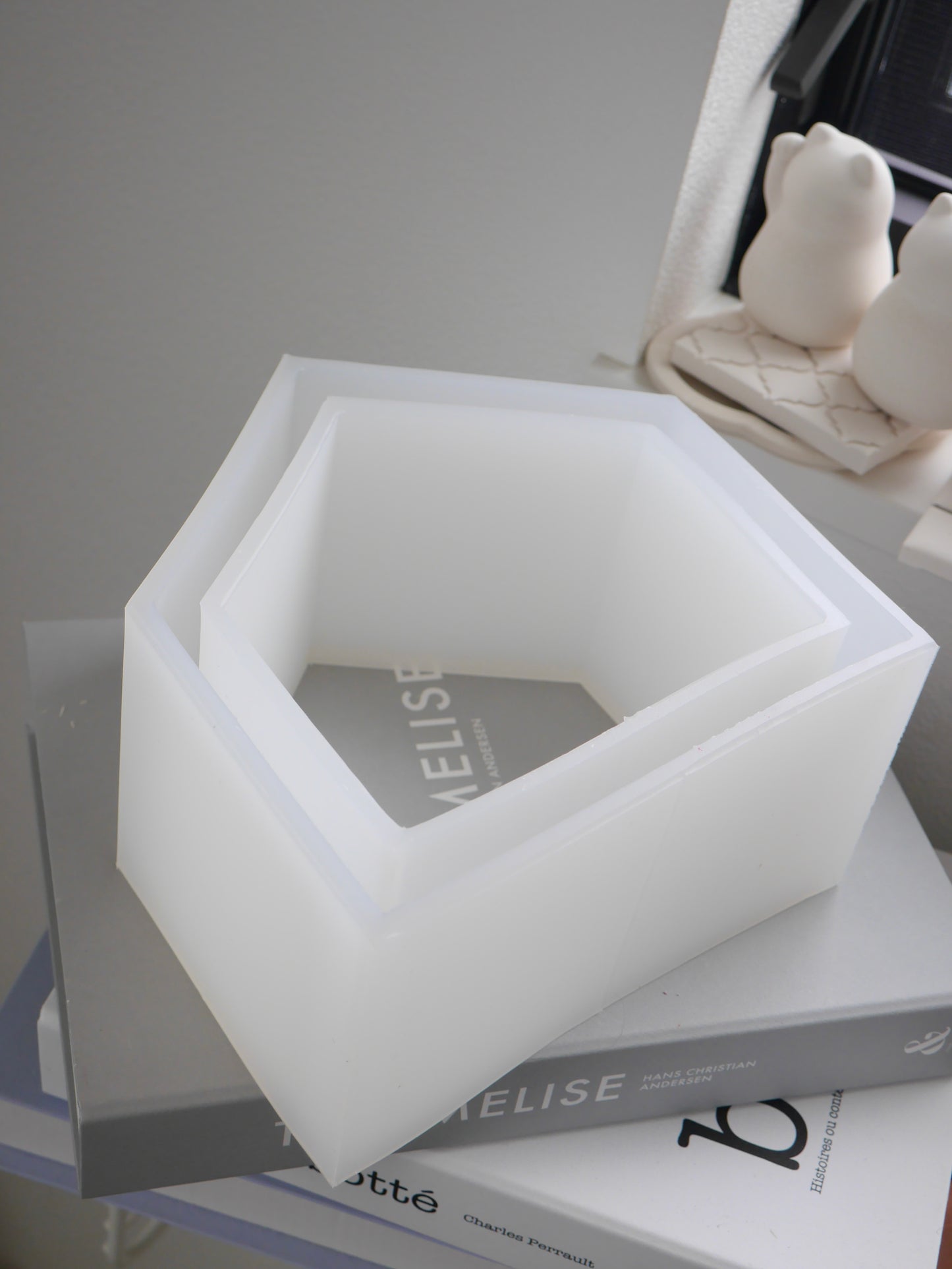 House Display Shelf Mold
