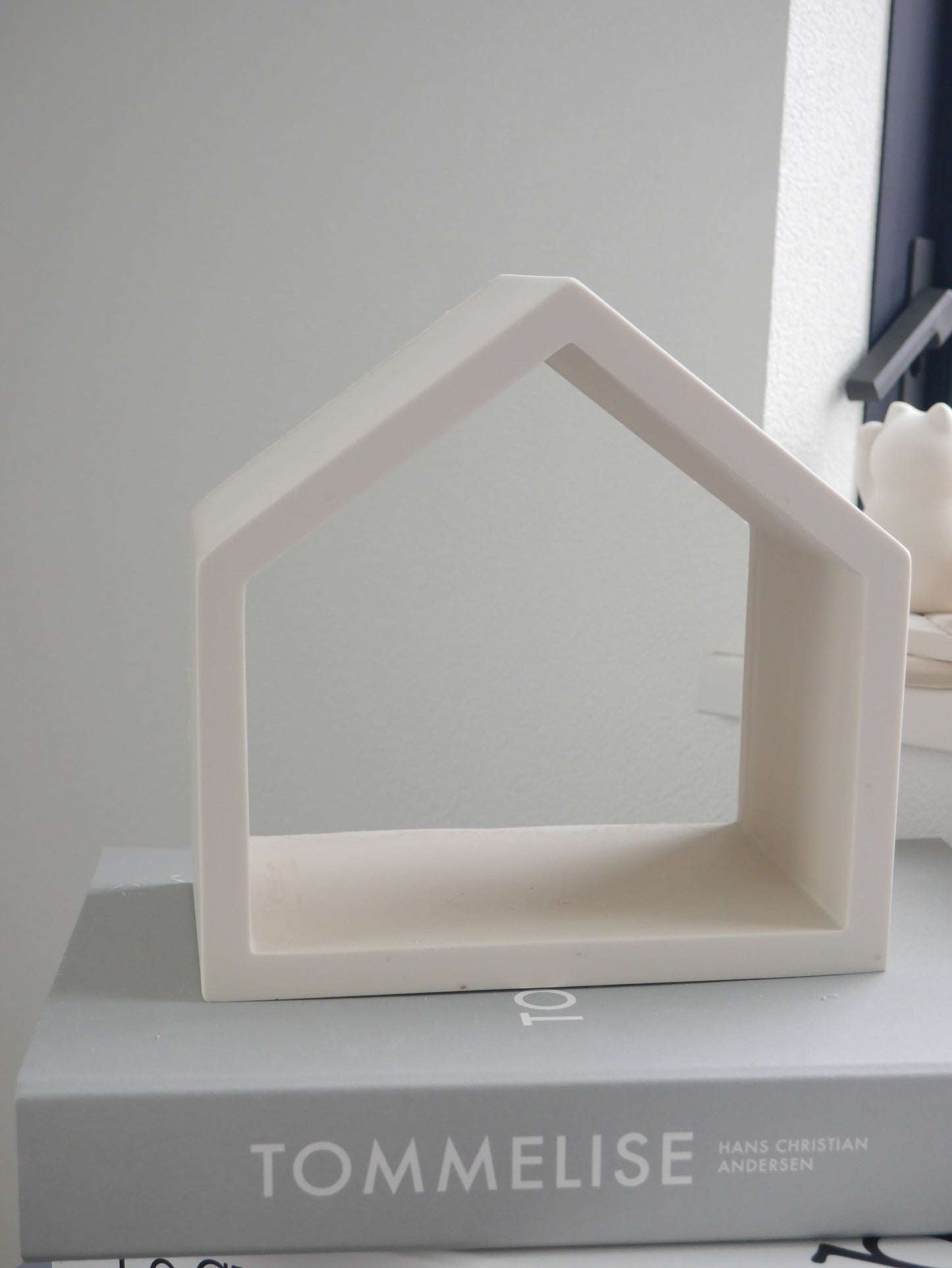 House Display Shelf Mold