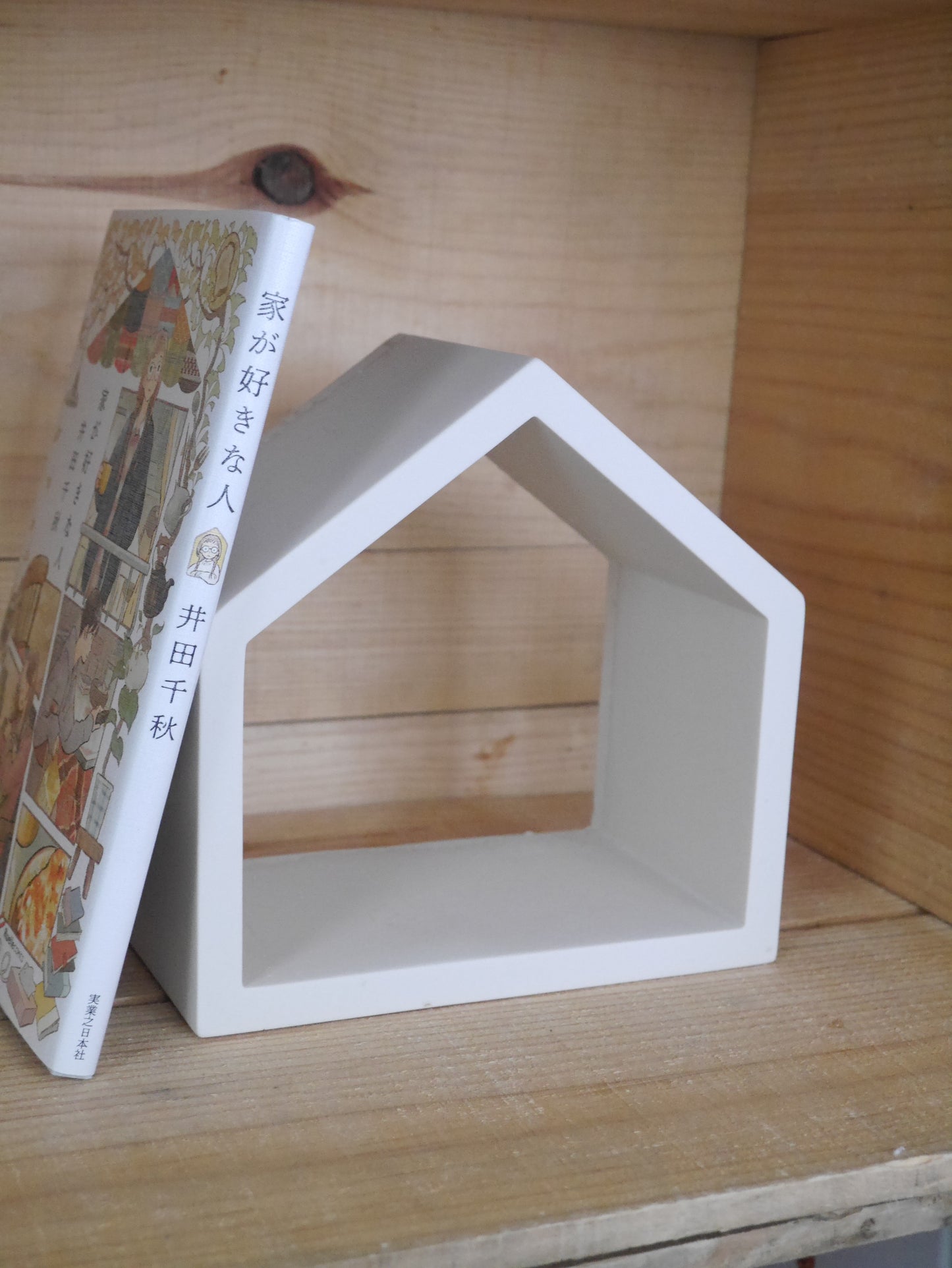 House Display Shelf Mold