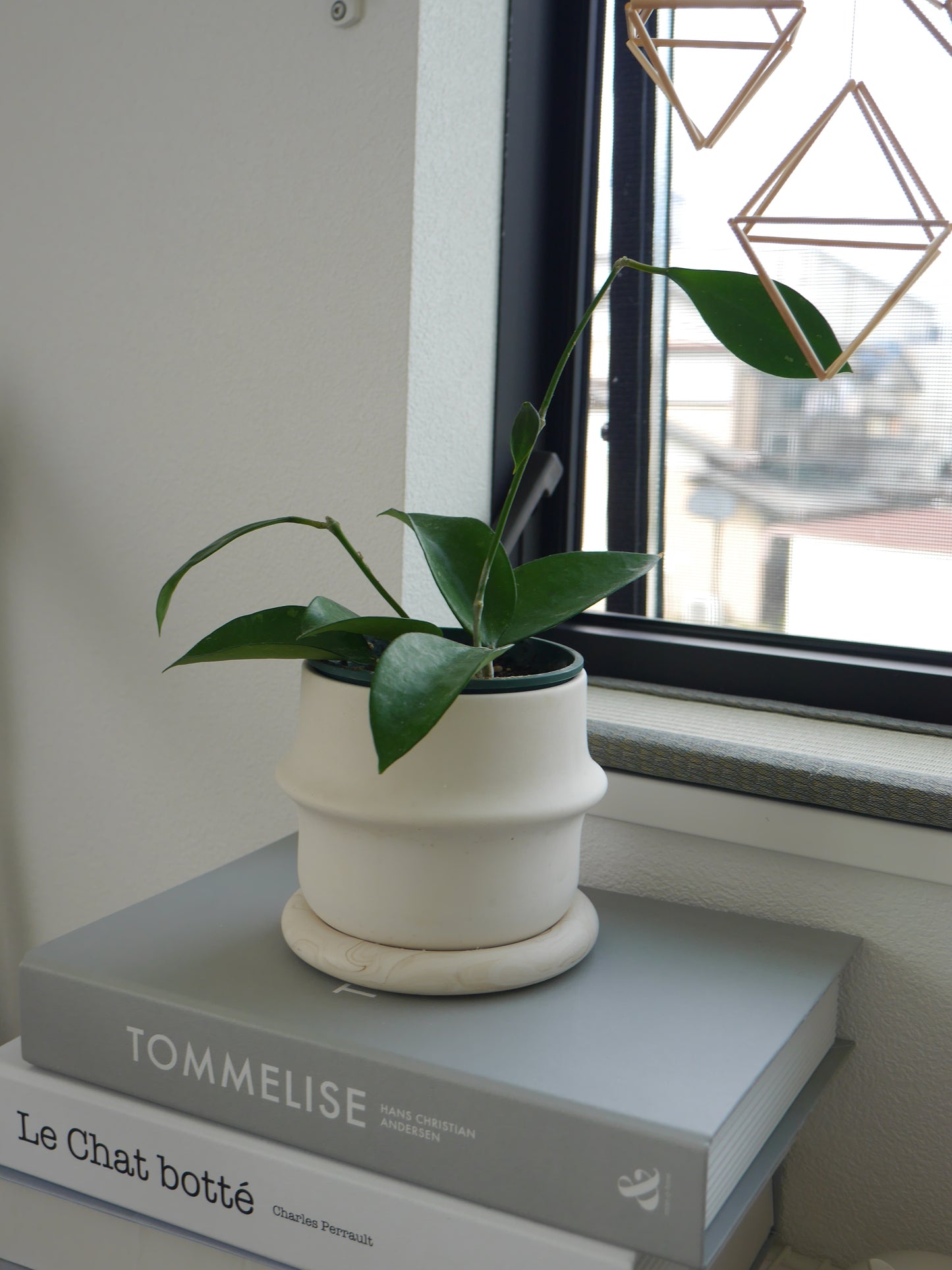 2wayプラントポット 大 シンプルリングデザイン