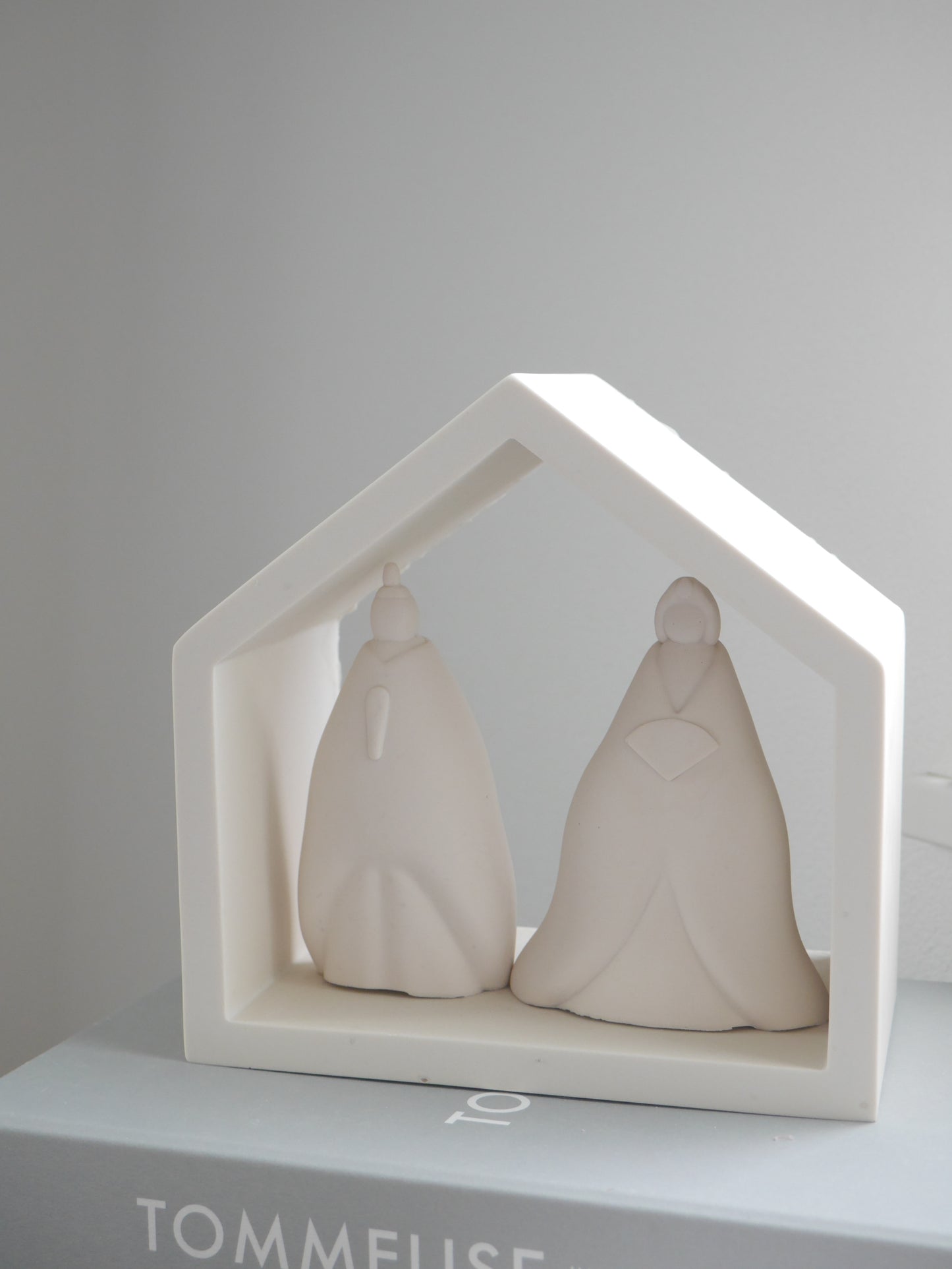 House Display Shelf Mold