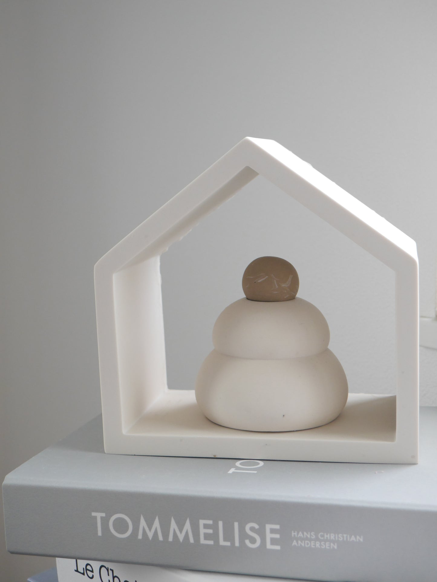 House Display Shelf Mold